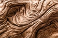 Driftwood detail. Natural texture background