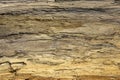 Driftwood detail sand point beach England uk