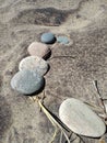 Driftwood details wood Water sea waves beach sand pebbles