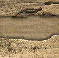 Driftwood divider on ribbed natural background