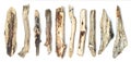 Driftwood dry dead tree wood set, for art objects and decor Royalty Free Stock Photo