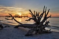 Driftwood and Fishing Pier Royalty Free Stock Photo