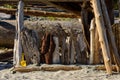 Driftwood Fort Invites Leisure on Beach