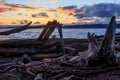 Driftwood in front of colorful clouds Royalty Free Stock Photo