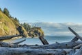 Driftwood water cliffs