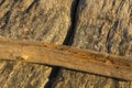 Driftwood on a glacial boulder, Hammonasset State Park, Madison, Royalty Free Stock Photo