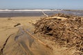 Driftwood after High Tide Storm