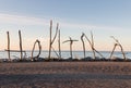 Driftwood on Hokitika beach in New Zealand