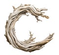 driftwood isolated on transparent background