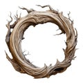 driftwood isolated on transparent background