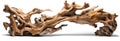 driftwood isolated on transparent background