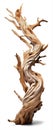 driftwood isolated on transparent background