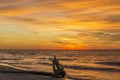 Driftwood on a Lake Huron Beach at Sunset Royalty Free Stock Photo