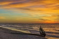 Driftwood on a Lake Huron Beach at Sunset Royalty Free Stock Photo