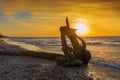 Driftwood on a Lake Huron Beach at Sunset Royalty Free Stock Photo