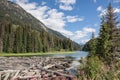 Driftwood on lake near Rocky Mountains in British Columbia, Canada