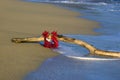 Driftwood and Lei Royalty Free Stock Photo