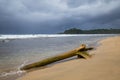 Driftwood log at beach and storm clouds Royalty Free Stock Photo