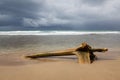 Driftwood log at beach and storm clouds Royalty Free Stock Photo