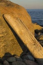 Driftwood log leaning on glacial boulder, water in background, C Royalty Free Stock Photo