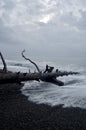 Driftwood log points down the beach as foaming waves engulf it Royalty Free Stock Photo