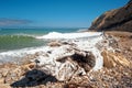 Driftwood log on rocky beach at Yellowbanks bay on Santa Cruz Island in the Channel Islands National Park California United States Royalty Free Stock Photo