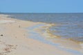 Driftwood on the Mississippi Gulf Coast. City of Long Beach, Gulf of Mexico, Florida USA