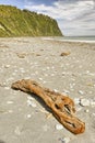 Driftwood and pebbles on Okarito Beach