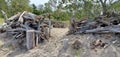 Driftwood pile at a beach at Presque Isle, Erie, Pennsylvania