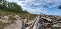 Driftwood pile at a beach at Presque Isle, Erie, Pennsylvania
