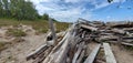 Driftwood pile at a beach at Presque Isle, Erie, Pennsylvania