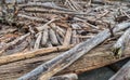 Driftwood Pile Closeup