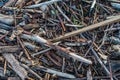 Driftwood Pile Macro