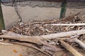 Driftwood Pile Washed Up On The Beach