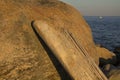 Driftwood propped up on glacial boulder, Hammonasset Beach, Madi Royalty Free Stock Photo