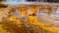 Driftwood and a Ranger`s Hat blown onto the Bacterial Mats of Silex Spring in Yellowstone National Park Royalty Free Stock Photo