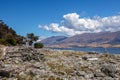 Driftwood and rocks on the Shore of Lake Wanaka Royalty Free Stock Photo