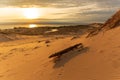 Driftwood on a sand dune as the sunset over Lake Michigan Royalty Free Stock Photo