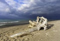 Driftwood on sandy beach in front of aqua waters and dramatic st