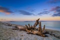 Driftwood on a sandy beach with turquoise ocean water and a colorful sunset sky Royalty Free Stock Photo