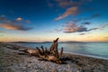 Driftwood on a sandy beach with turquoise ocean water and a colorful sunset sky Royalty Free Stock Photo