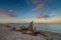 Driftwood on a sandy beach with turquoise ocean water and a colorful sunset sky Royalty Free Stock Photo