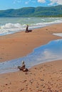 Driftwood on a Sandy Remote Shore Royalty Free Stock Photo