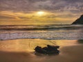 A driftwood sculpture, created from wood washed up on the beach during the low tide with beautiful sunset background. Royalty Free Stock Photo