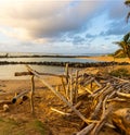 Driftwood Shelter Built on Lydgate Beach