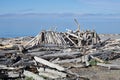 Driftwood Shelter On South Beach Royalty Free Stock Photo