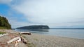 Driftwood on the shore of Shine Tidelands State Park on Bywater Bay near Port Ludlow in the Puget Sound in Washington State Royalty Free Stock Photo