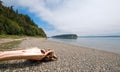 Driftwood on the shore of Shine Tidelands State Park on Bywater Bay near Port Ludlow in the Puget Sound in Washington State