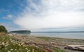 Driftwood on the shore of Shine Tidelands State Park on Bywater Bay near Port Ludlow in the Puget Sound in Washington State Royalty Free Stock Photo