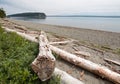 Driftwood on the shore of Shine Tidelands State Park on Bywater Bay near Port Ludlow in the Puget Sound in Washington State